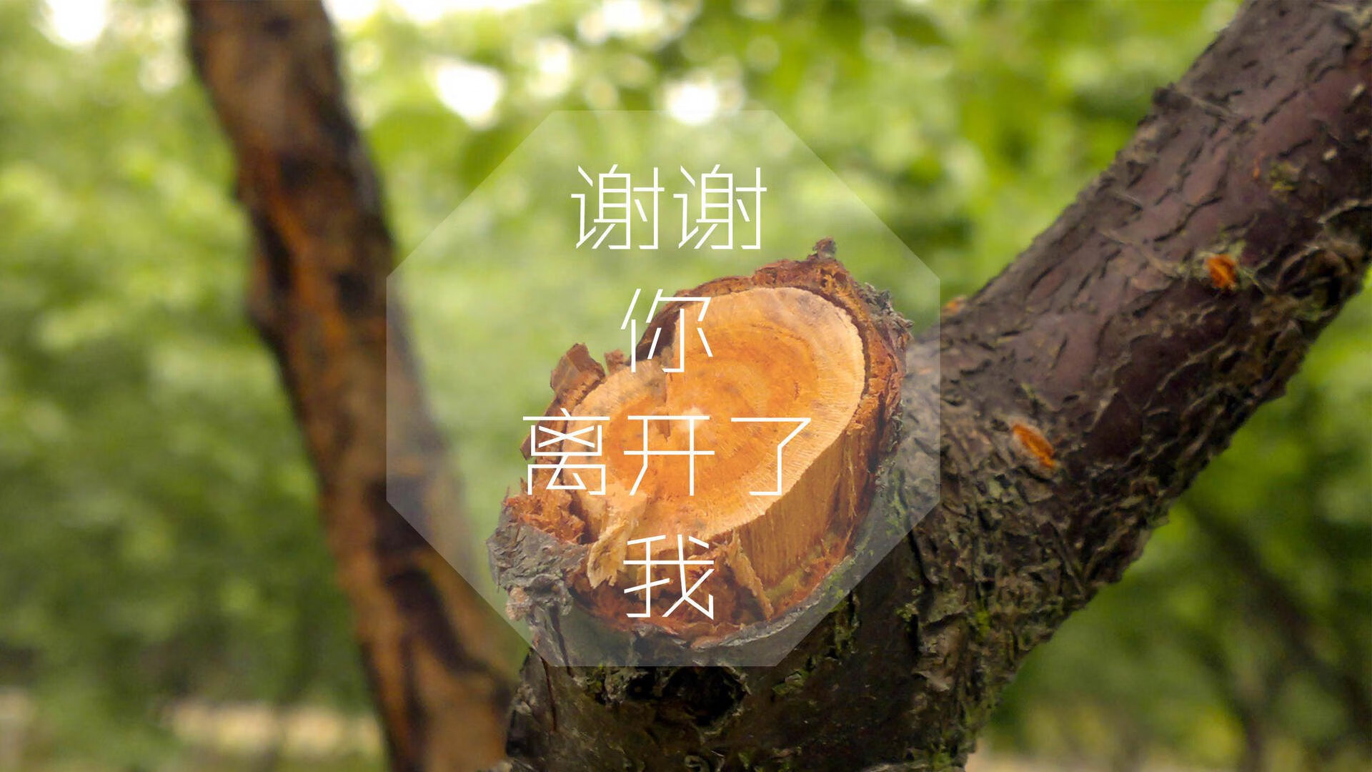 【快节奏规则试点】缩短比赛时间让棒球更年轻化，棒球加速比赛