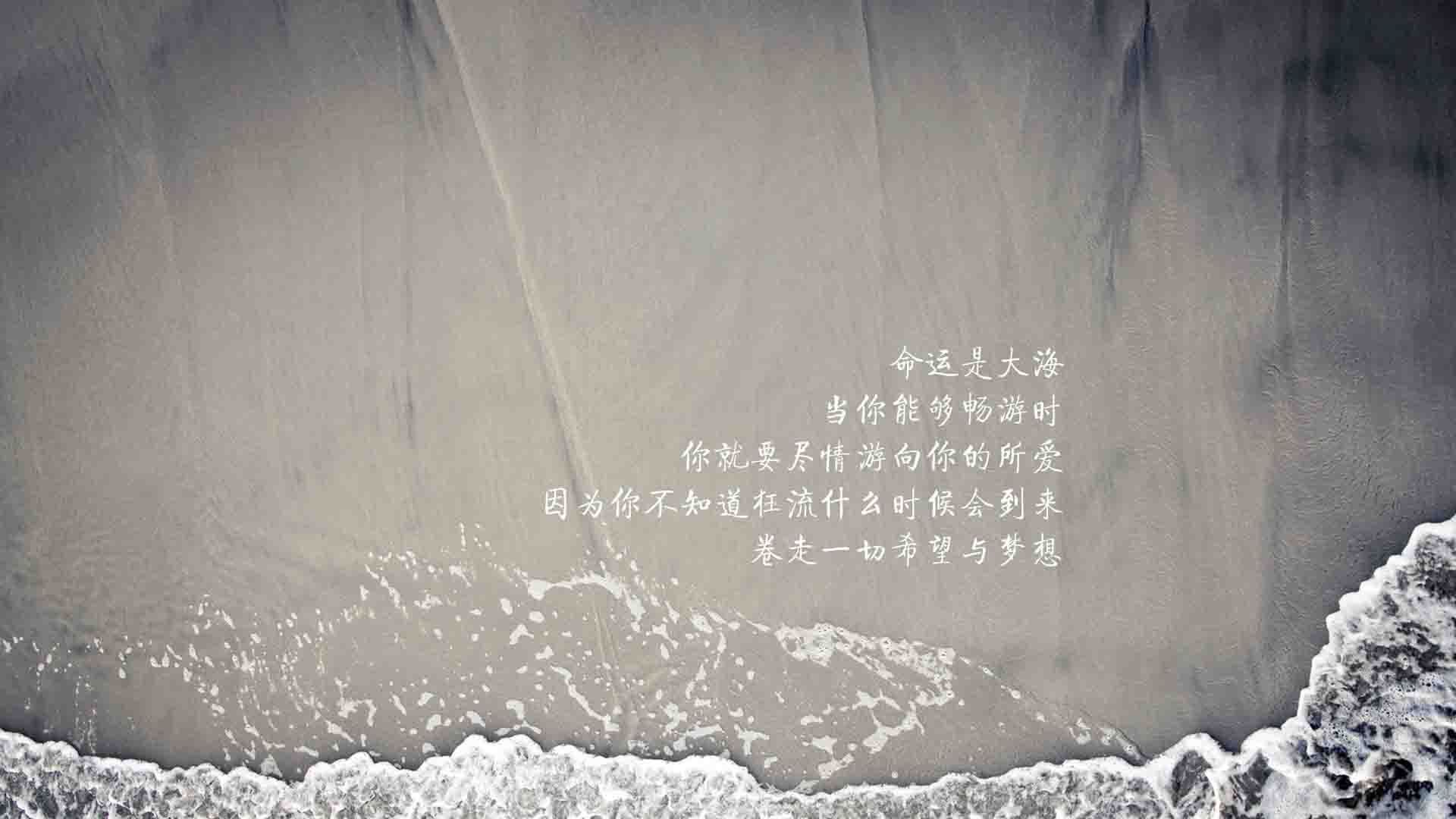 克罗地亚马术协会与国际马术联合会合作，举办国际马术交流活动，促进技术交流。