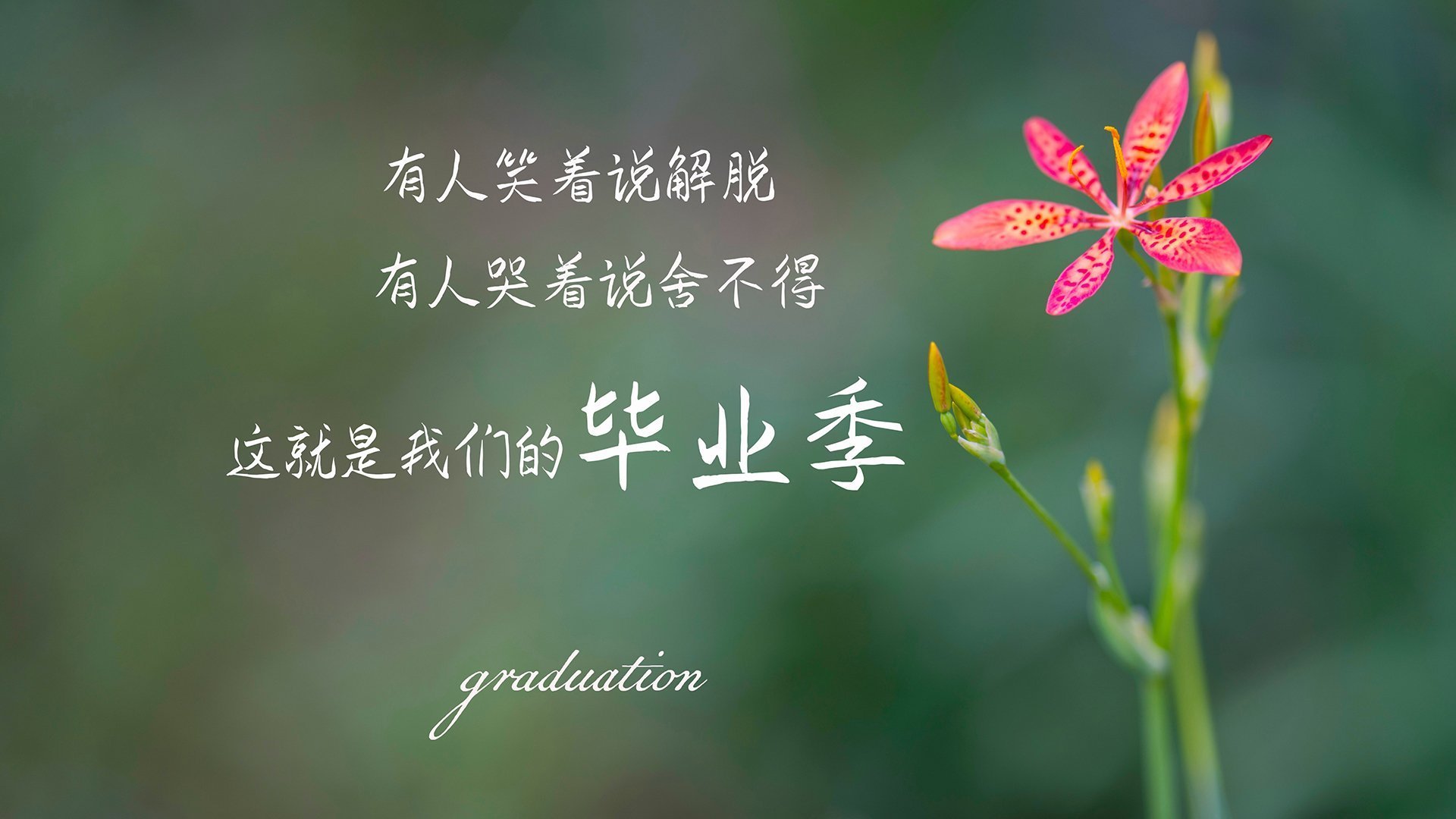 马赛2-1逆转蒙彼利埃，武卡乔和贝纳塞尔发威，马赛vs蒙彼利埃预测
