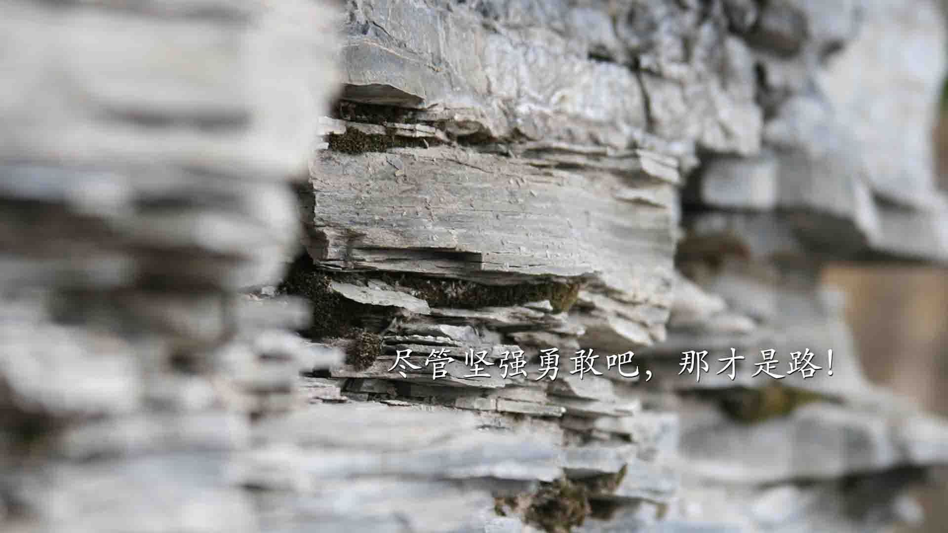 足球場上的激烈對抗，波濤洶湧的熱血時刻，足球场景对抗