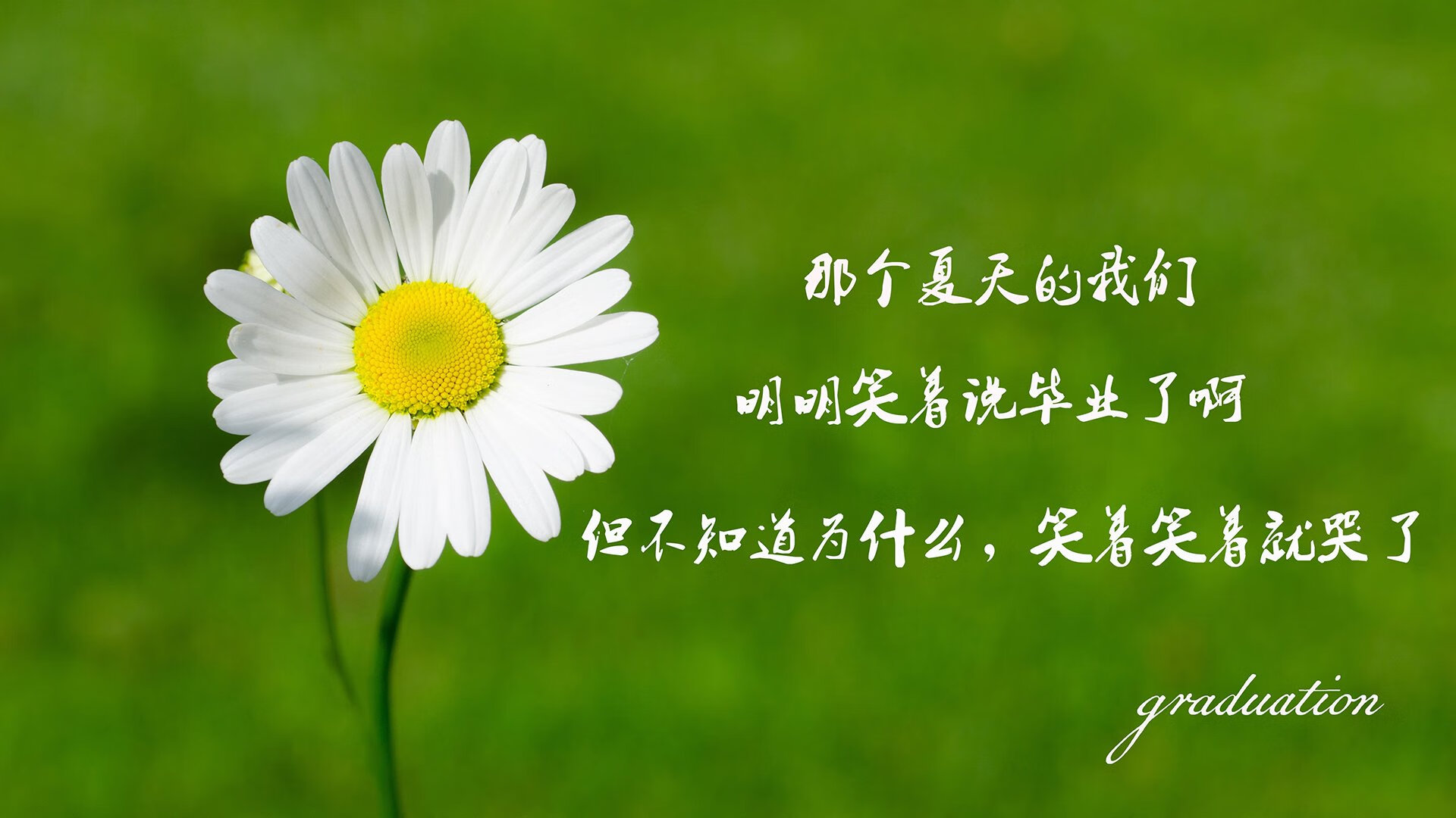 节奏差异是否能成为球队战术对抗中的主导变量，节奏不一致什么意思